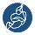 jitsi